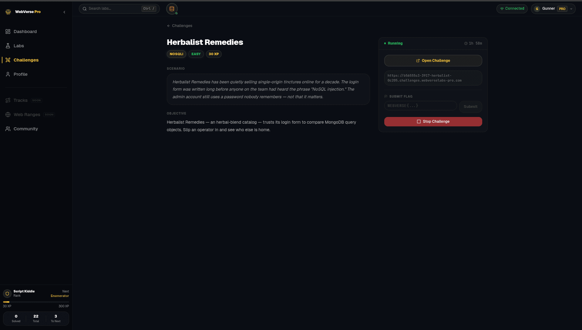 WebVerse Pro challenge detail page showing category, difficulty, and skills you'll practice